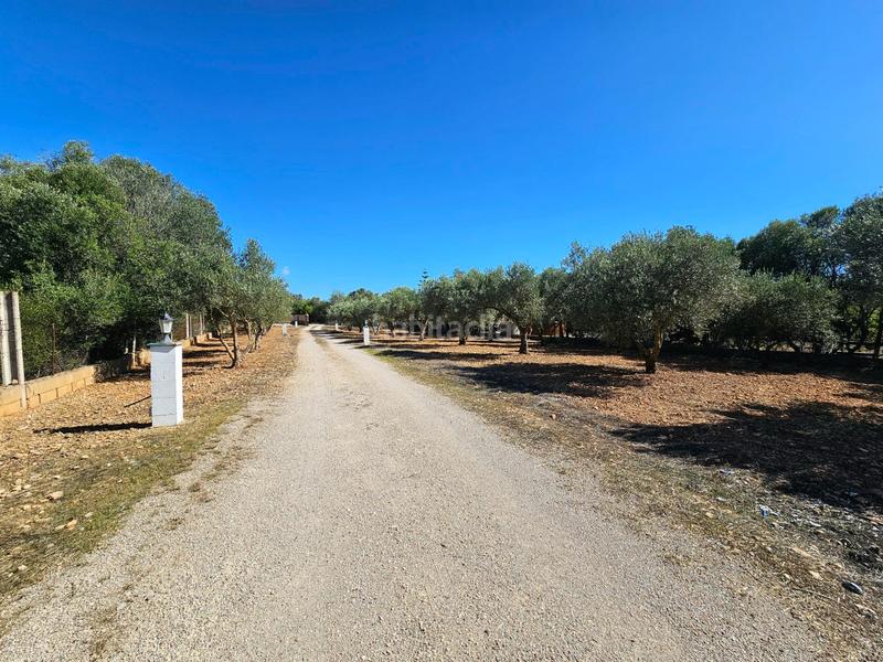 Foto a4c59ae3-9e17-47c5-ae06-fa32e557f505. Masía encantadora finca rústica , carretera de sa aranjassa en Llucmajor