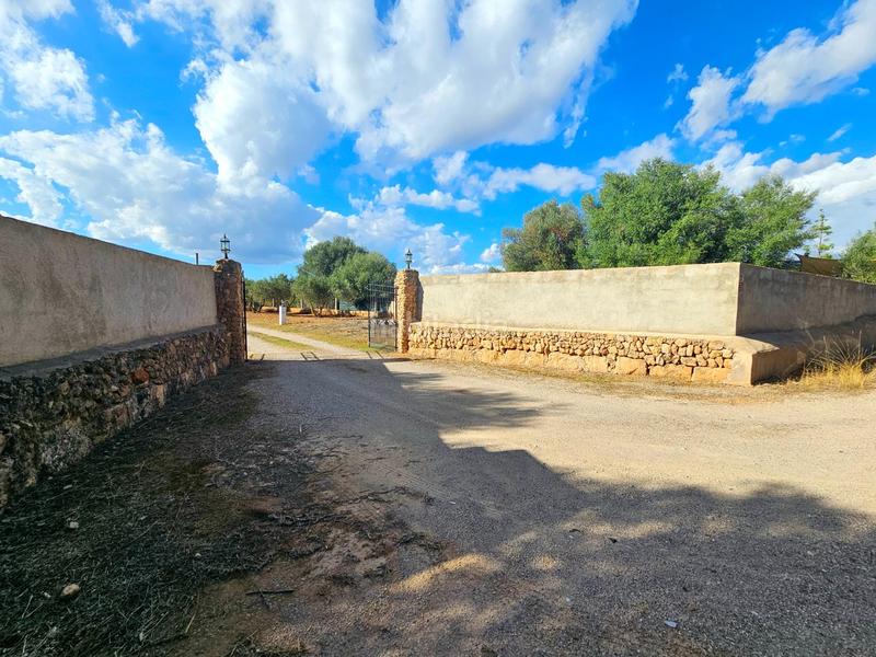 Foto b3b75e2c-be3a-4b10-8b73-e91f0e11face. Casale in Llucmajor interior Llucmajor