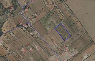 Finca rústica a Algaida. Terreno edificable en algaida