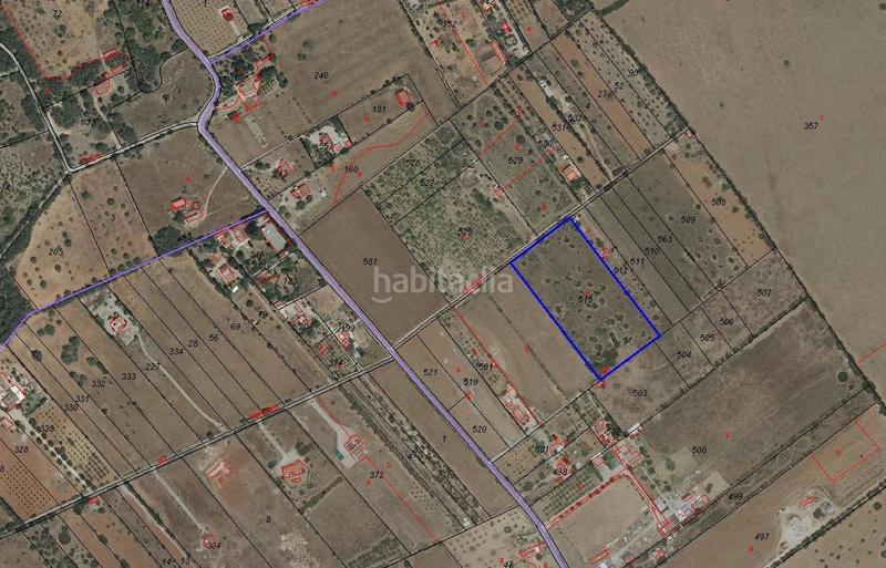 Foto 25dc53f3-0efa-4a63-a06a-5f4d8f9e5316. Propriété dans Algaida