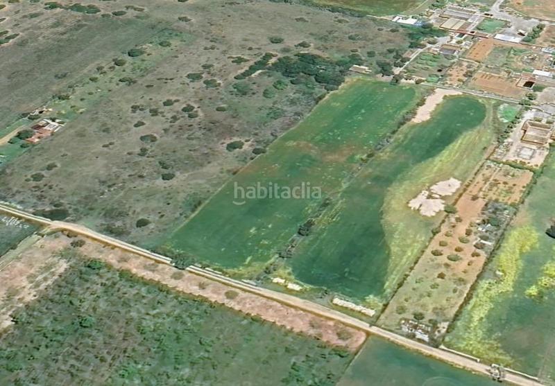 Foto 81519853-ab1f-433b-bdb1-328c5efd651b. Propriété dans Algaida