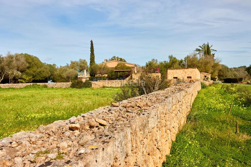 Foto 161477ad-27e0-4691-b6e2-673a0d18ff20. Masia a Algaida