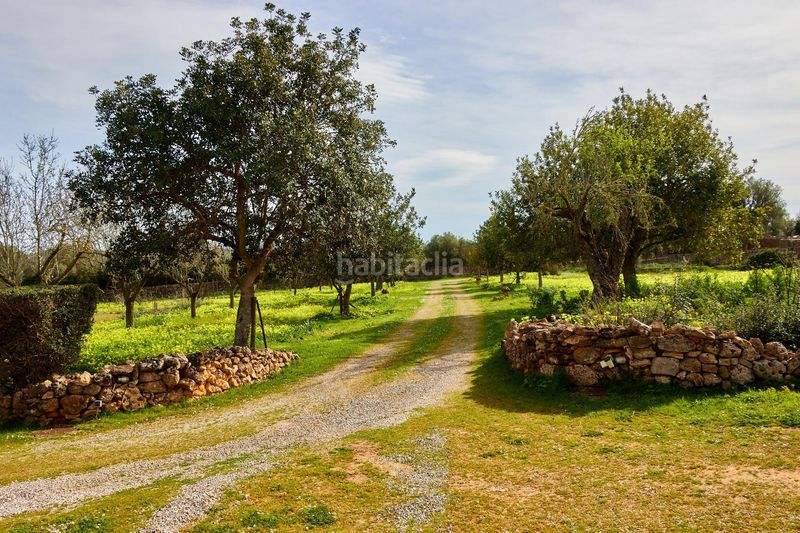 Foto 328384df-b1c3-4855-bbfe-45b30f43bc0f. Masia a Algaida