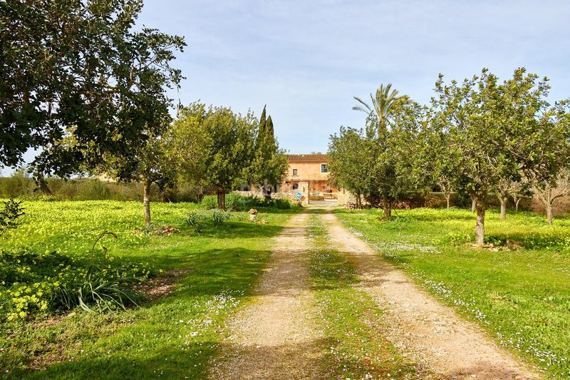 Foto 53e7e299-5d63-4886-8af3-c45b062381fb. Masia a Algaida