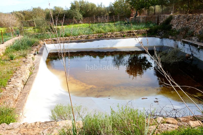 Foto 7f0046ff-05e1-43b2-b62d-3f7a527dc5b1. Masia a Algaida