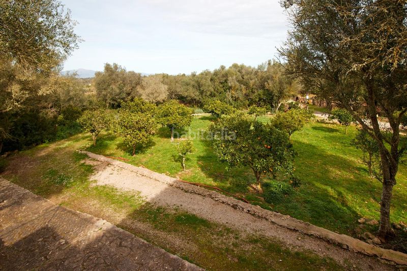 Foto a506b412-0ae2-46e1-af79-02f01dd48d00. Masia a Algaida