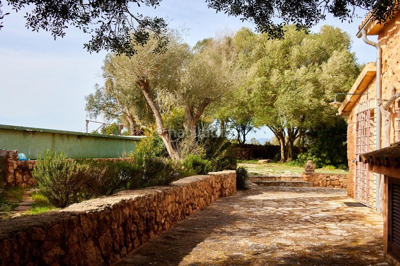 Foto d3f5c5d8-d4bf-44a7-b31f-f2b5da1664f0. Masia a Algaida