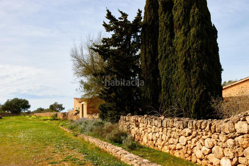 Foto dbc23e20-3780-436a-9e4f-10e44d76eb67. Masia a Algaida