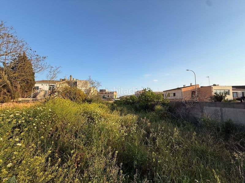 Foto 422cd686-8b43-4572-836e-6cacf2914756. Terreny residencial a Campos poble Campos