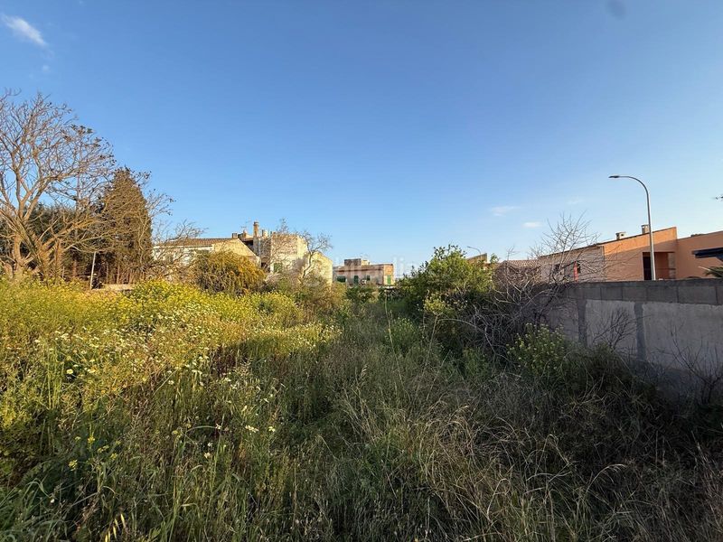 Foto 48c3b644-e4ed-4d90-b2ee-0962dff6776e. Terreny residencial a Campos poble Campos