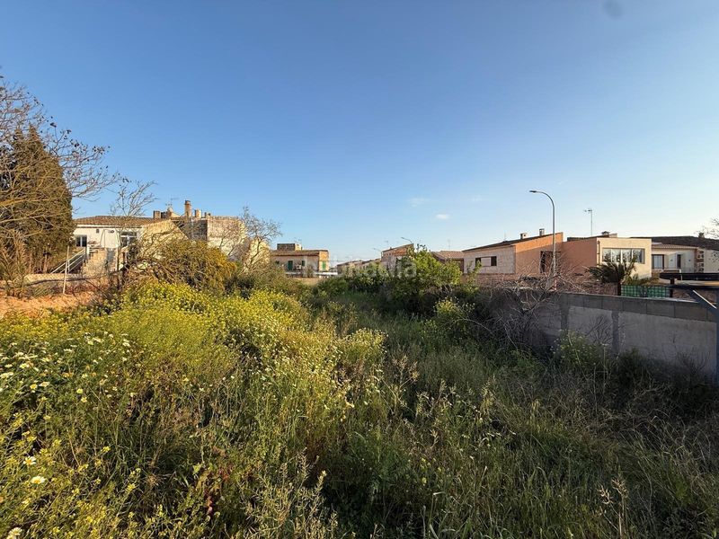 Foto 60a00277-4dfb-48ff-ae6f-9635a42d4901. Terreny residencial a Campos poble Campos