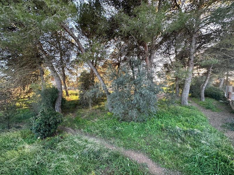 Foto 24433d07-7832-4838-85c7-02883e943788. Terrain résidentiel dans Centre Igualada