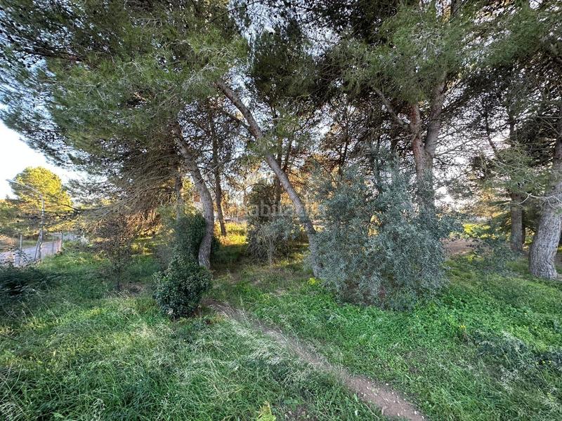 Foto 289eee6b-25da-42d8-ac1c-2fc6fef0c6d4. Terrain résidentiel dans Centre Igualada