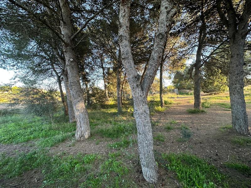 Foto 3d8275d6-8138-4b1b-9367-5d9a967f6750. Terrain résidentiel dans Centre Igualada