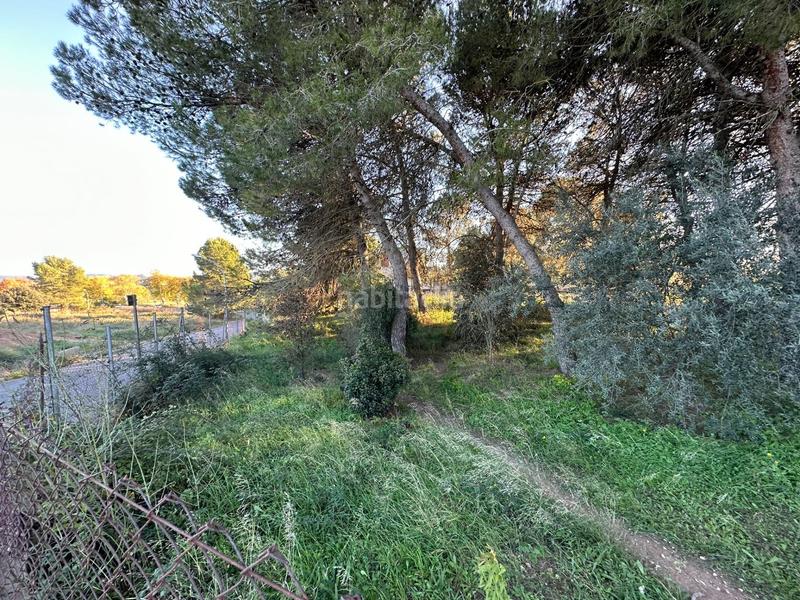 Foto 63387e52-9941-4f69-8af9-c858ba1f4b6e. Terrain résidentiel dans Centre Igualada