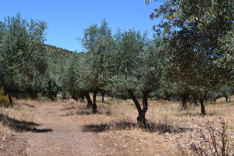 Foto c82e0353-928f-46e6-ac01-4c683abe4b5b. Bauernhof mit heizung pool in Belvís de la Jara