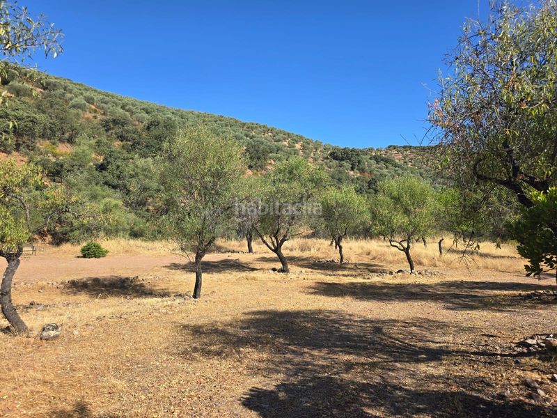 Foto e9e8f90f-985e-41e6-a038-96a6817d400e. Bauernhof mit heizung pool in Belvís de la Jara