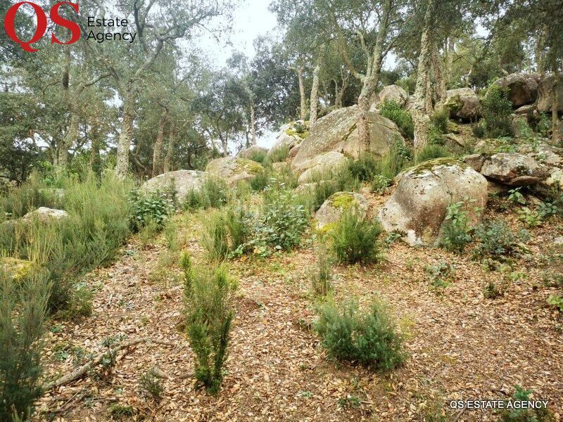 Foto 00abca0c-4ebf-4694-8b9a-76e583109a19. Terreny residencial a Llagostera