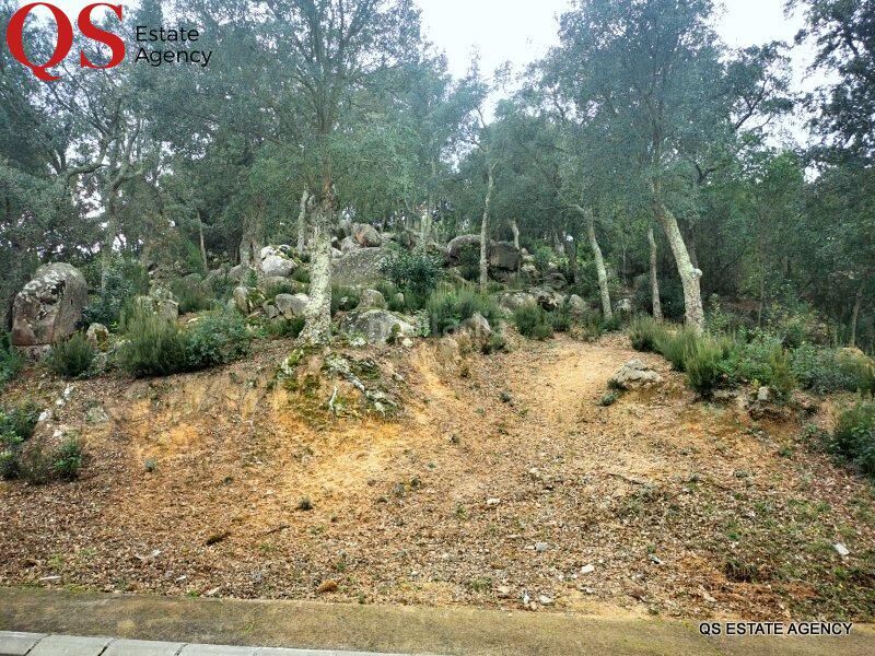 Foto 18bd2ae6-bb0f-4917-8245-eaba36c056cf. Terreny residencial a Llagostera