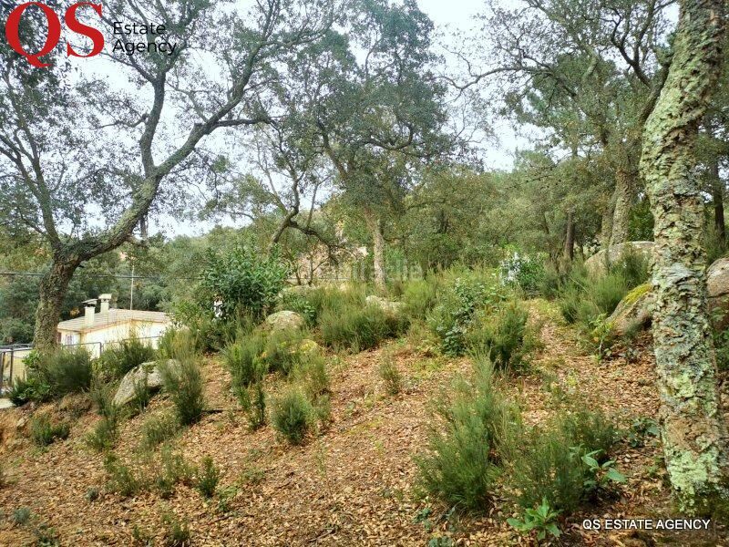 Foto 5220619b-f8f9-4ddc-8c97-1244a9794e55. Terreny residencial a Llagostera