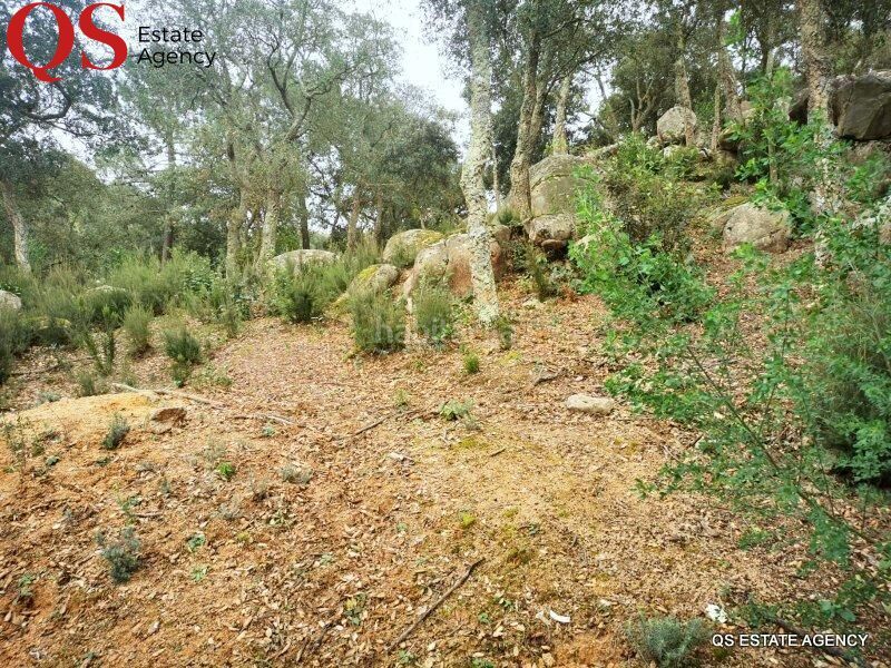 Foto dd4ddf86-0c0a-4d78-9a59-b0ca90f94623. Terreny residencial a Llagostera