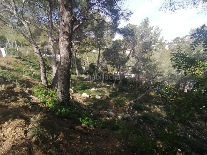 Foto 5f5dfd64-0795-4789-a11d-35866f769a3a. Terrain résidentiel dans costa Cunit - els jardins - els rosers Cunit