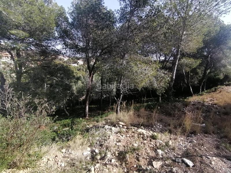 Foto dba3ab8a-1370-4bb1-a998-c59a21508fd4. Terrain résidentiel dans costa Cunit - els jardins - els rosers Cunit