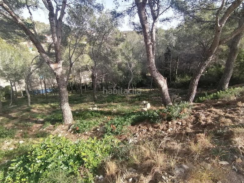 Foto ff6f2895-4d58-4204-aa3a-a9bd1d5dd1da. Terrain résidentiel dans costa Cunit - els jardins - els rosers Cunit