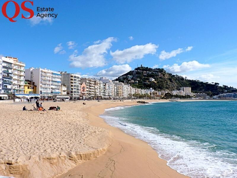 Foto d3a6e037-8368-4663-99d3-065d5949f993. Pis a La plantera Blanes