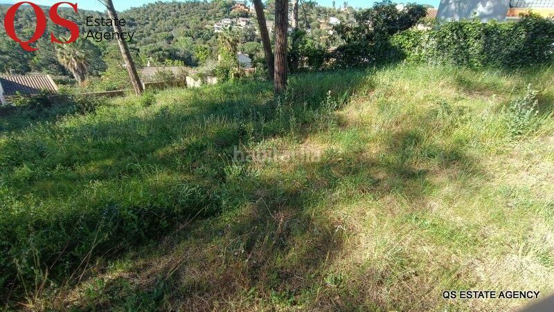 Foto 56cd1563-91c8-44b7-9713-a3e0ed9c37e7. Terreny residencial a Mas Mora-Sant Daniel Tordera