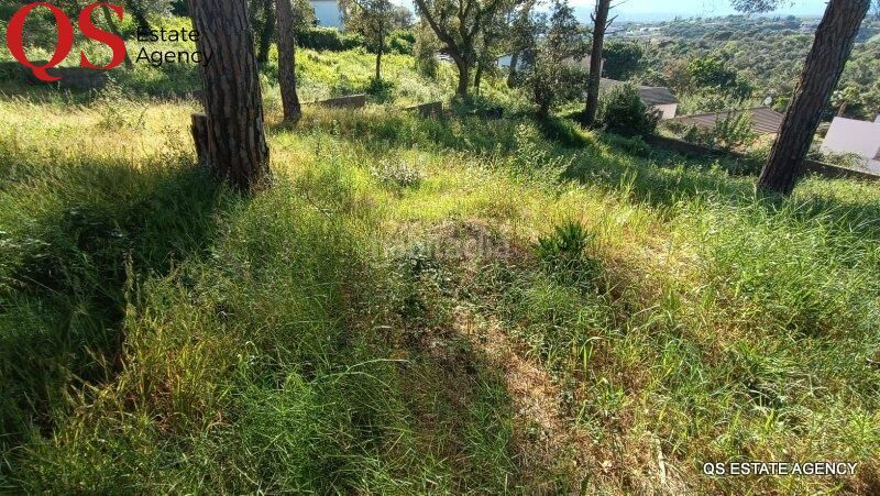 Foto c8a9f5ef-5981-4bef-9f20-db3384a9e489. Terreny residencial a Mas Mora-Sant Daniel Tordera