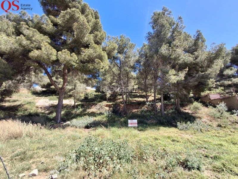Foto 0edbdd1f-d49e-485f-8556-7333b2de9d9d. Terreny residencial a costa Cunit - els jardins - els rosers Cunit
