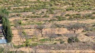 Finca rústica a Pasaje cuesta galifa 4. Venta de terreno rustico en galifa