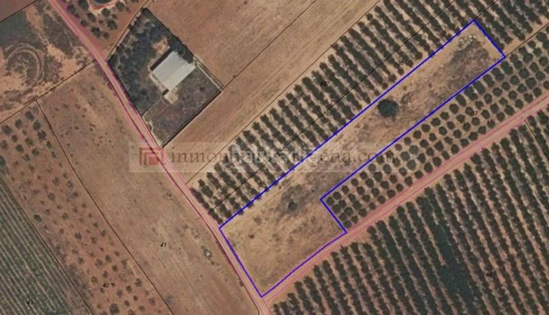 Foto 2b145daf-0b2d-420a-b700-1bc77e903a44. Terreny residencial a Miranda Cartagena