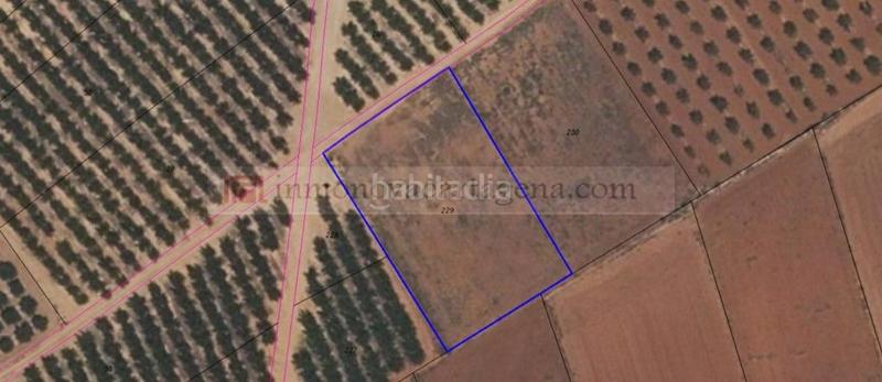 Foto 55fb81f1-aecd-4c00-a2cf-4c17ecf6524b. Terreny residencial a Miranda Cartagena