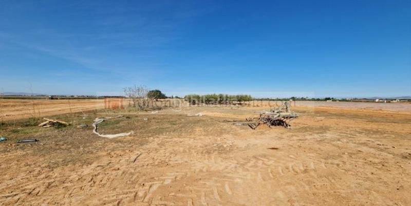 Foto e39ea893-1876-425e-9e1e-c5455a5c2f18. Terreny residencial a Miranda Cartagena