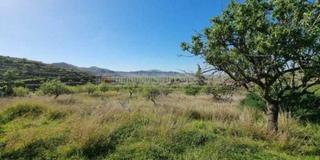 Finca rústica a Campo Nubla. Venta de terreno rustico en tallante