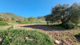 Landgut in Campo Nubla. Venta terreno rustico con una superficie de 4.300 m2