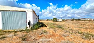 Bauernhof en Rm-e16 17. Venta finca en el palmero