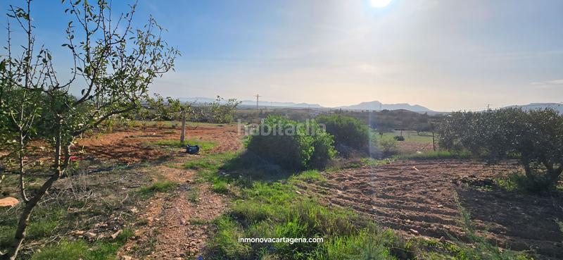 Foto 457bce64-ec6e-4236-ada4-c3786153125a. Casale con parcheggio in La Magdalena - Molinos Marfagones Cartagena