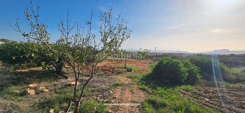 Foto aee37c48-6810-4346-9464-ddeec776e8a8. Casale con parcheggio in La Magdalena - Molinos Marfagones Cartagena