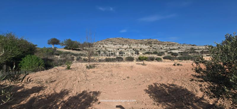 Foto d837d63a-7d88-418d-a53f-b2f662b38365. Casale con parcheggio in La Magdalena - Molinos Marfagones Cartagena