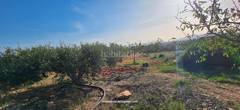 Foto f804396a-edc5-4fbc-b77d-84dc93af1d0a. Casale con parcheggio in La Magdalena - Molinos Marfagones Cartagena