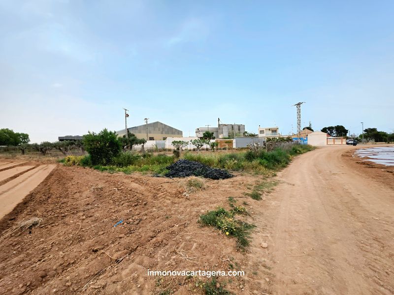 Foto a45c2342-2178-4c4f-a3c0-d65b77a17fd3. Finca rústica a Polígono Santa Ana Cartagena