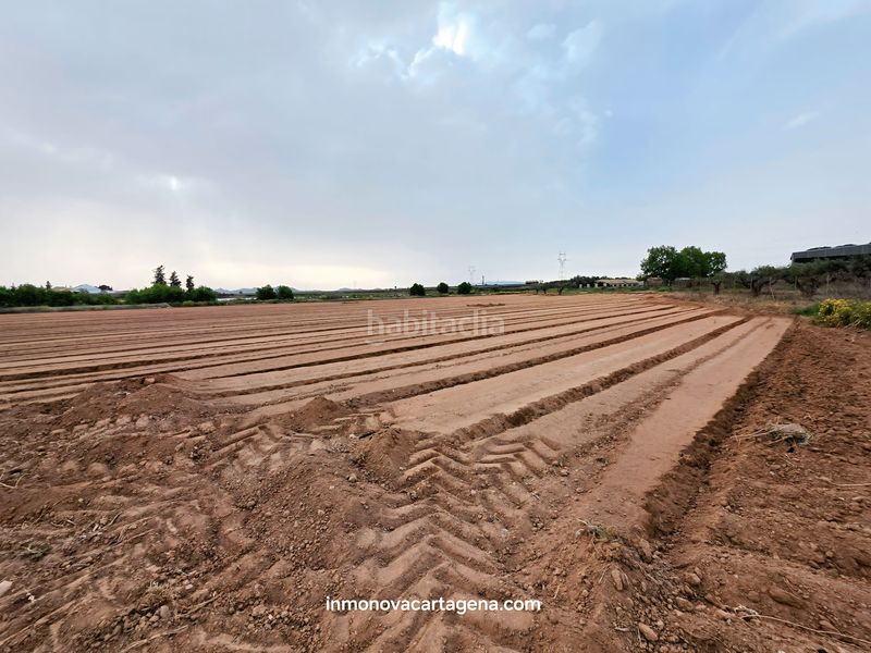 Foto c283a717-7619-4392-9598-2ce00e785163. Finca rústica a Polígono Santa Ana Cartagena