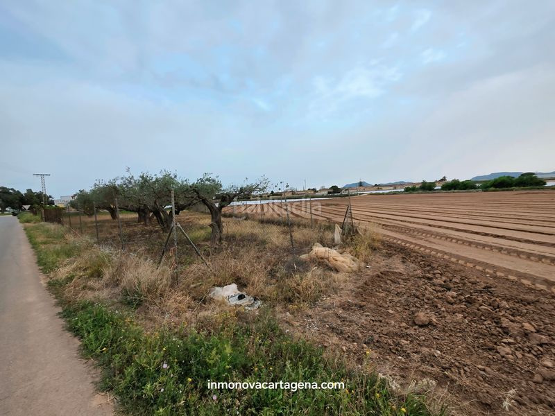 Foto fe237d8b-3c58-4d46-a742-c60d607c86b0. Finca rústica a Polígono Santa Ana Cartagena