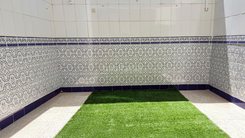 Foto 726de6ae-d7dd-4d31-9aa4-932770a40618. Casa a Centro Alcázares (Los)