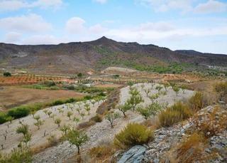 Finca rústica a Pasaje valdelentisco 25. Venta de terreno rustico en tallante