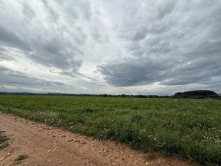 Wohngrundstück in Siurana