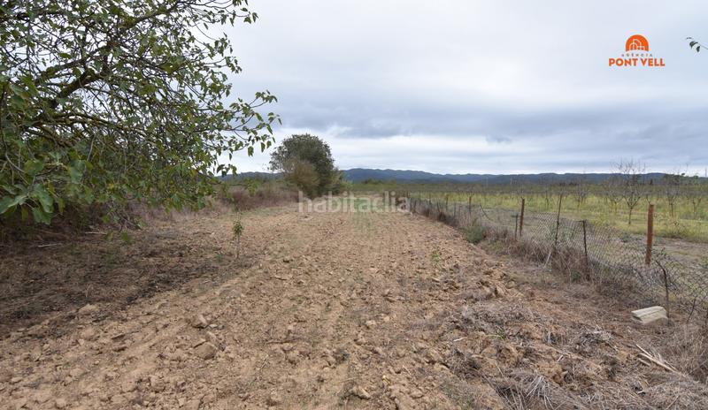 Foto 8a23fd2c-91b0-4a5e-aae2-a264a5663a91. Residential plot in Cruïlles, Monells i Sant Sadurní de l´Heura